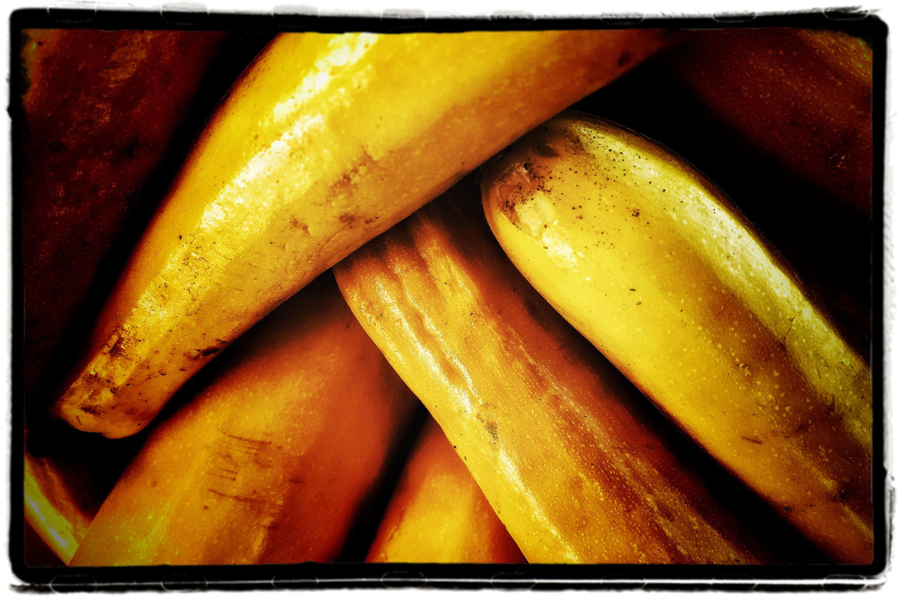 Farmers Market Produce